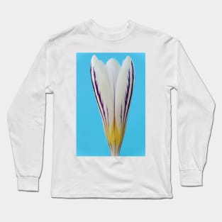 Crocus versicolor  &#39;Picturatus&#39; Long Sleeve T-Shirt